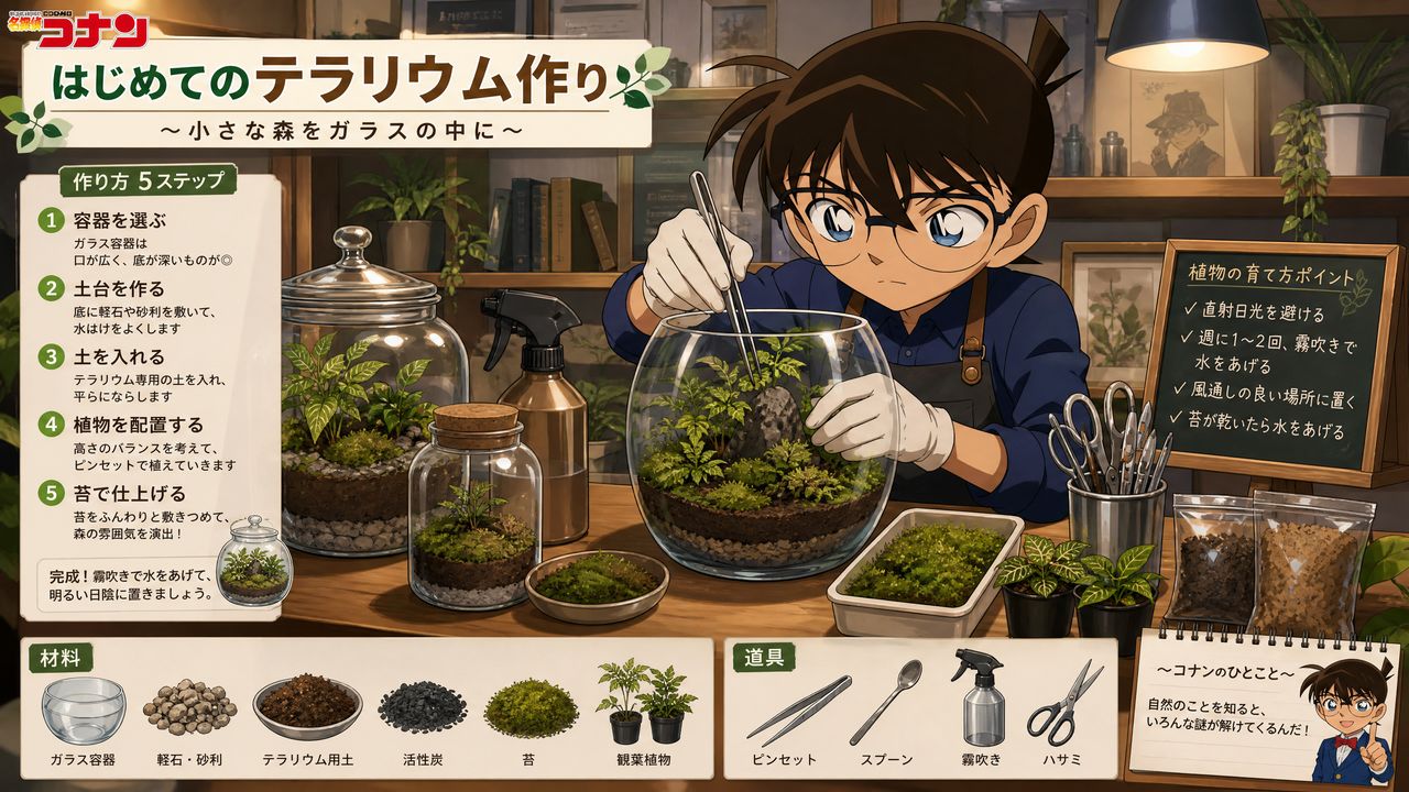 高清视频